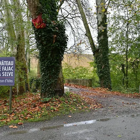 Chateau De Fajac La Selve Pech-Luna